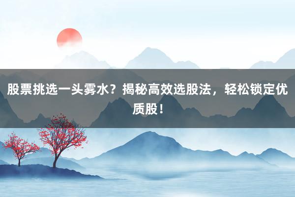 股票挑选一头雾水？揭秘高效选股法，轻松锁定优质股！