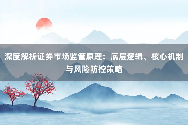 深度解析证券市场监管原理：底层逻辑、核心机制与风险防控策略